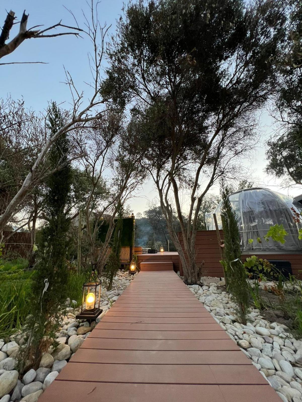The Vino Dome By Once Upon A Dome 프란쉬후크 외부 사진